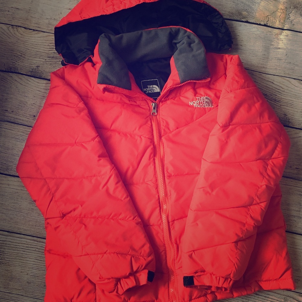Men’s Northface 700 Winter Jacket
